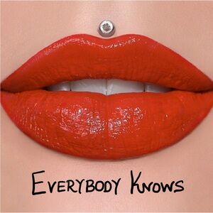 NEW Jeffree Star Supreme Lip Gloss Everybody Knows